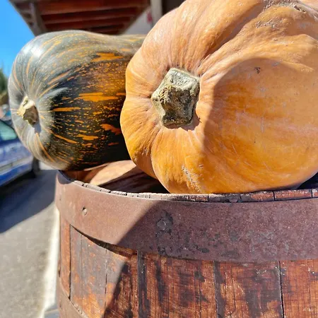 Casa Cabrera - 2 Con Vistas Al Mar Apartament Caleta de Caballo