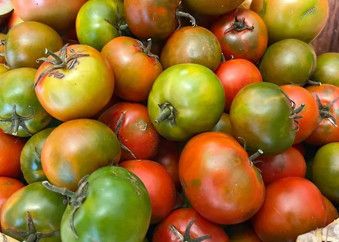 Casa Cabrera - 2 Con Vistas Al Mar Caleta de Caballo