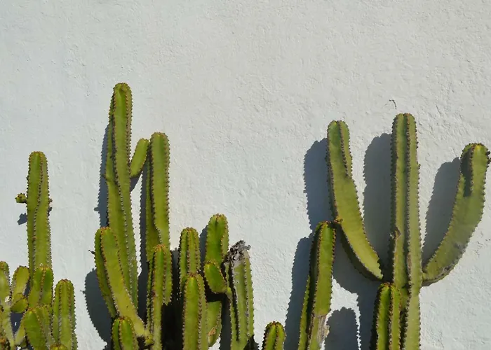 Casa Cabrera - 2 Con Vistas Al Mar * Caleta de Caballo