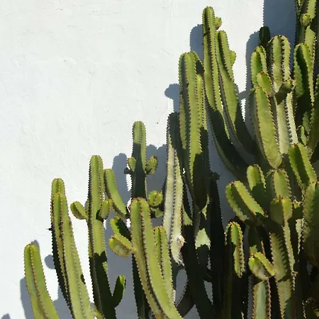 Casa Cabrera - 2 Con Vistas Al Mar Appartement Caleta de Caballo