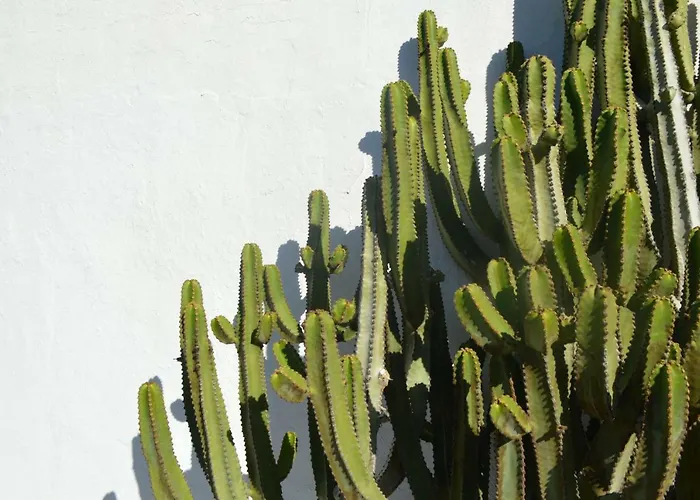Casa Cabrera - 2 Con Vistas Al Mar דירה Caleta de Caballo