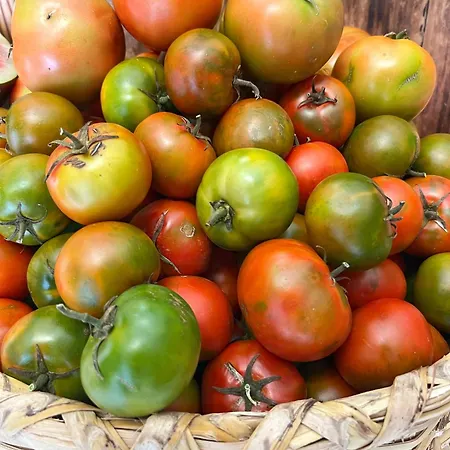 Casa Cabrera - 2 Con Vistas Al Mar Caleta de Caballo