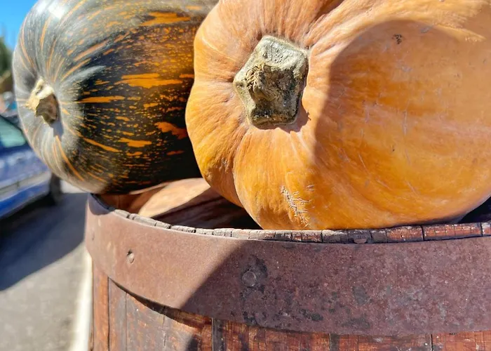 Casa Cabrera - 2 Con Vistas Al Mar Apartman Caleta de Caballo