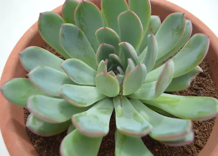 Casa Cabrera - 2 Con Vistas Al Mar Apartman *